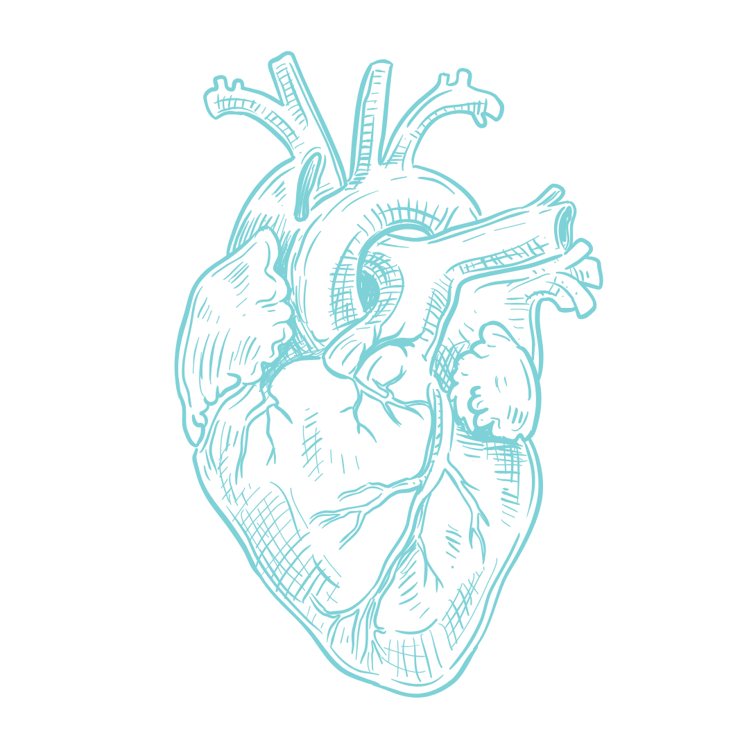 Poliambulatorio Sinergo - Cardiologia
