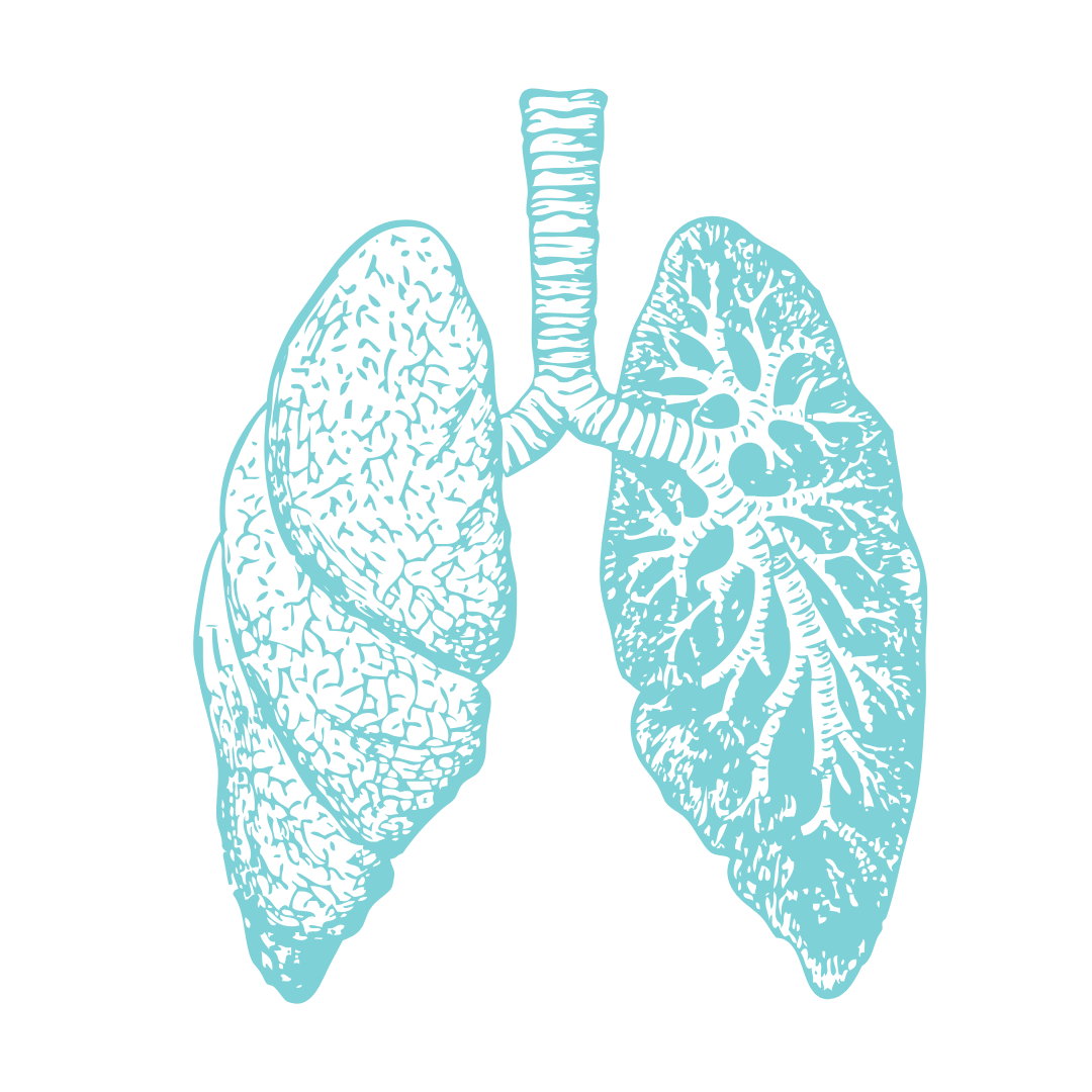 Poliambulatorio Sinergo - Pneumologia